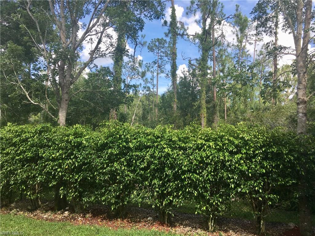 COLONNADE AT FORUM - Residential