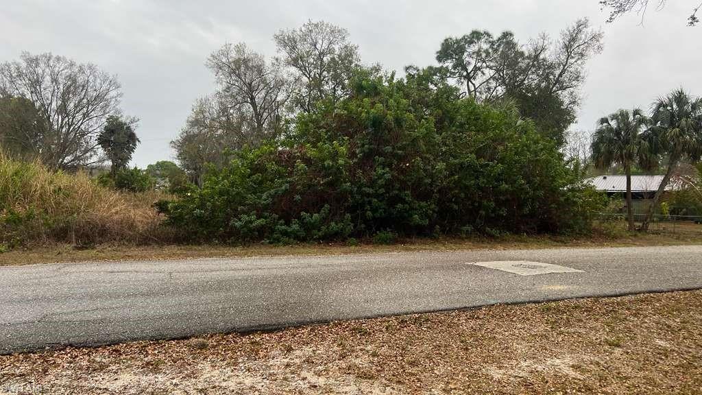 FORT MYERS SHORES - Land