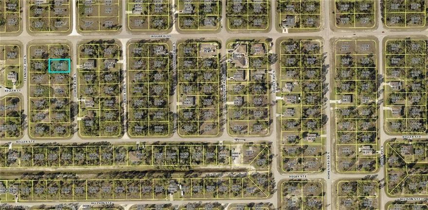 LOT IN THE SE AREA OF LEHIGH, JUST OFF JAGUAR BLVD, COME AND BUILD YOUR HOME HERE, NOW IS THE TIME, THE MARKET IS MOVING, ACT PRONTO!