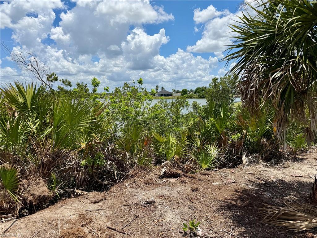 CAPE CORAL - Land