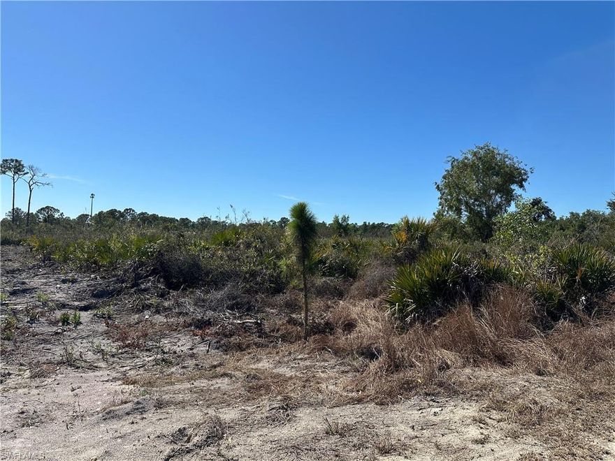 1.25 acres of vacant residential land in the tranquil and rural Wheeler Estates subdivision of LaBelle. This spacious parcel offers the perfect canvas to build your custom home, private retreat, or long-term investment property in a peaceful, country setting just a short drive from town conveniences. No HOA or deed restrictions, giving you flexibility to design and utilize the land as you envision. Whether you’re planning to build your dream residence, develop a homestead with space for animals and gardens, or hold as a future investment, this lot offers outstanding
potential in a desirable Southwest Florida locale.  Adjacent lot is also available - 7896 1st Pl.