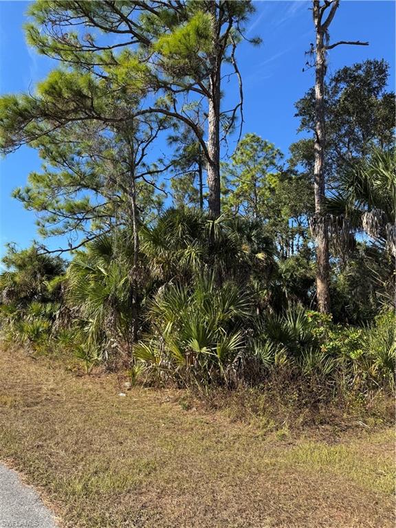 PORT CHARLOTTE - Land