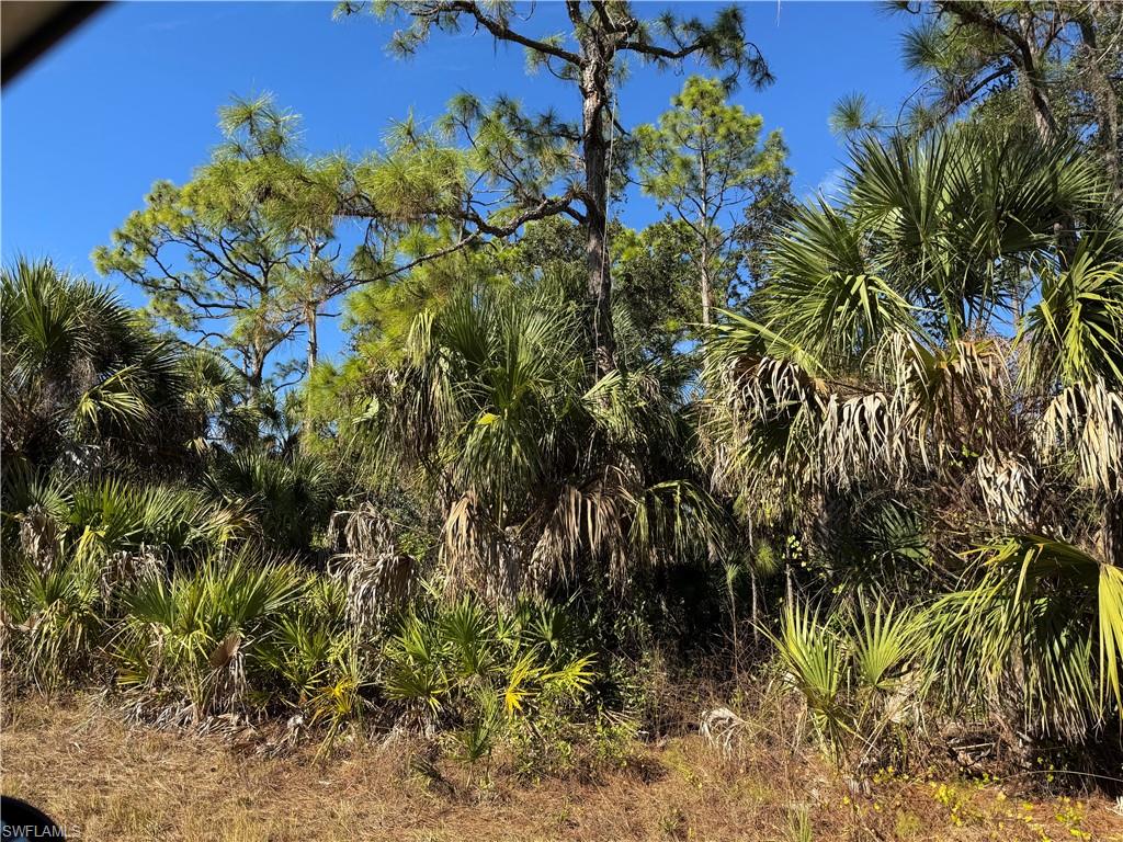 PORT CHARLOTTE - Land