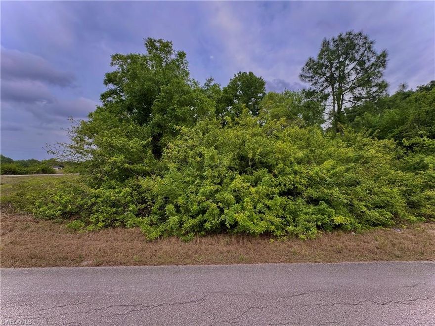 GREAT LOCATION 1/2 ACRE LOT nestled away on a QUIET paved street with utilities. Just Minutes from major amenities and a quick commute to Fort Myers! Come build your DREAM HOME or INVEST today!