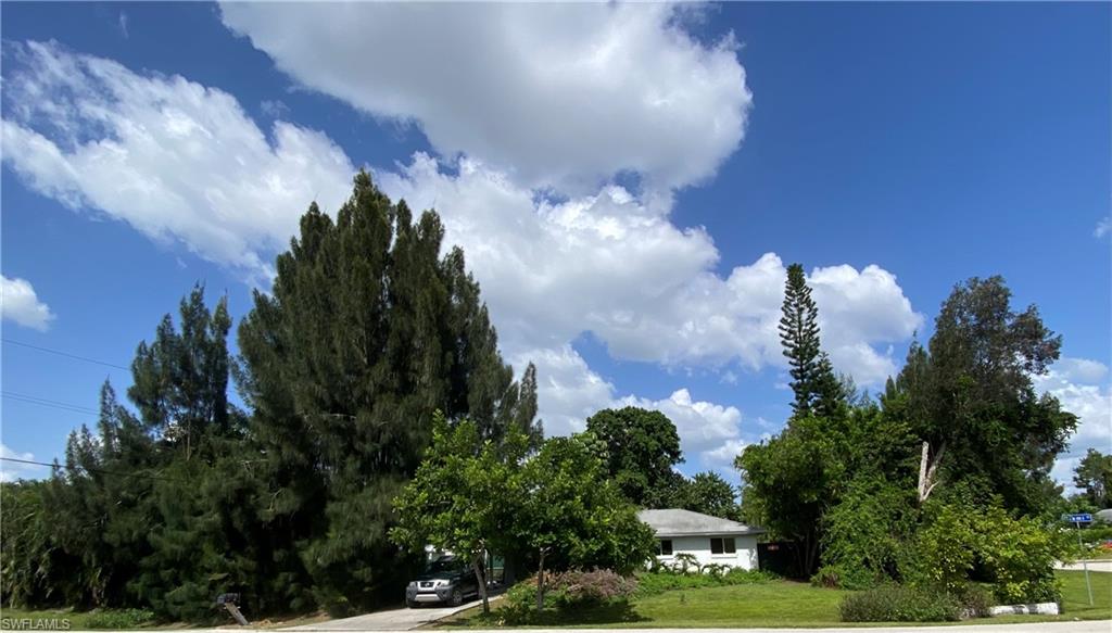 SAN CARLOS PARK - Residential