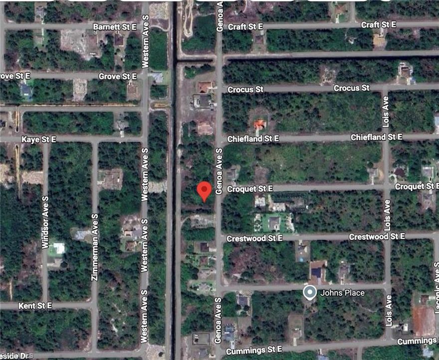 Almost half an acre at this unbelievable price, best priced vacant lot in the vecinity at time of listing!