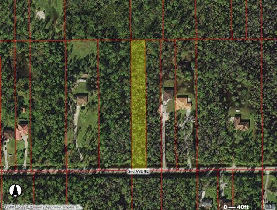 NO D.E.P.    BUT LOOKS GOOD