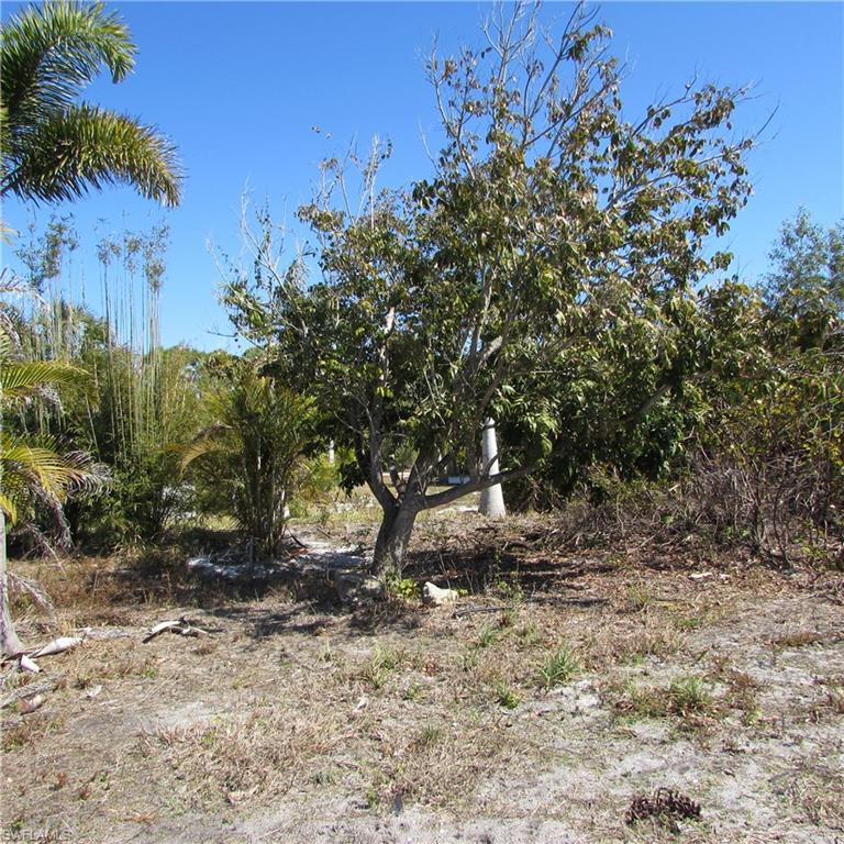 KREAMERS AVOCADO SUBD - Land