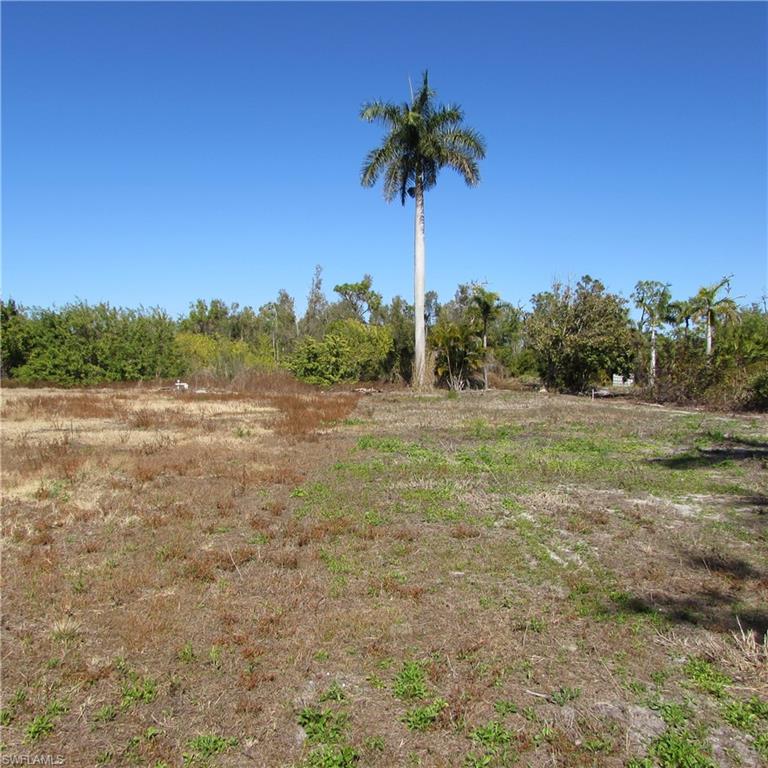 KREAMERS AVOCADO SUBD - Land