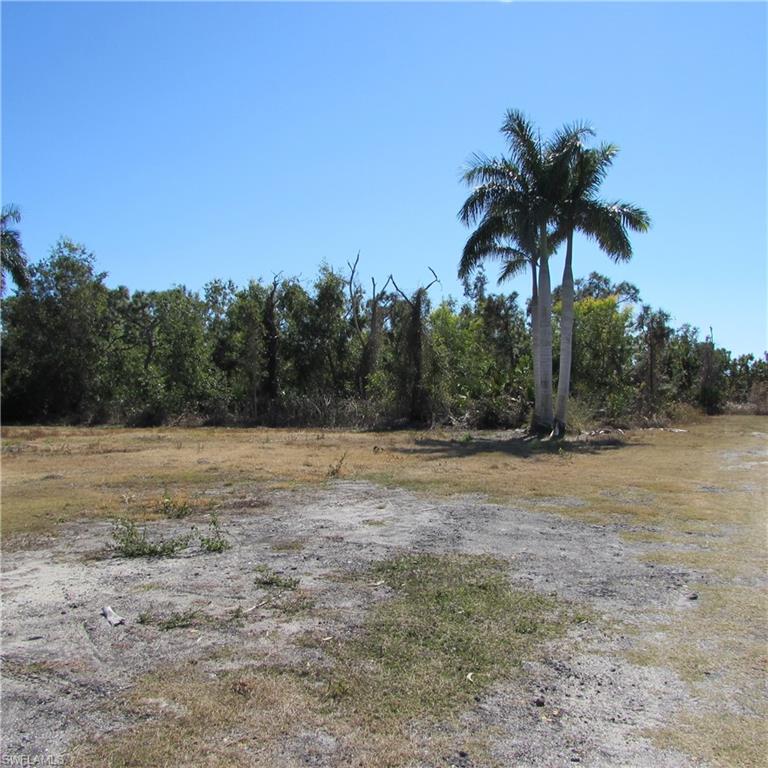 KREAMERS AVOCADO SUBD - Land