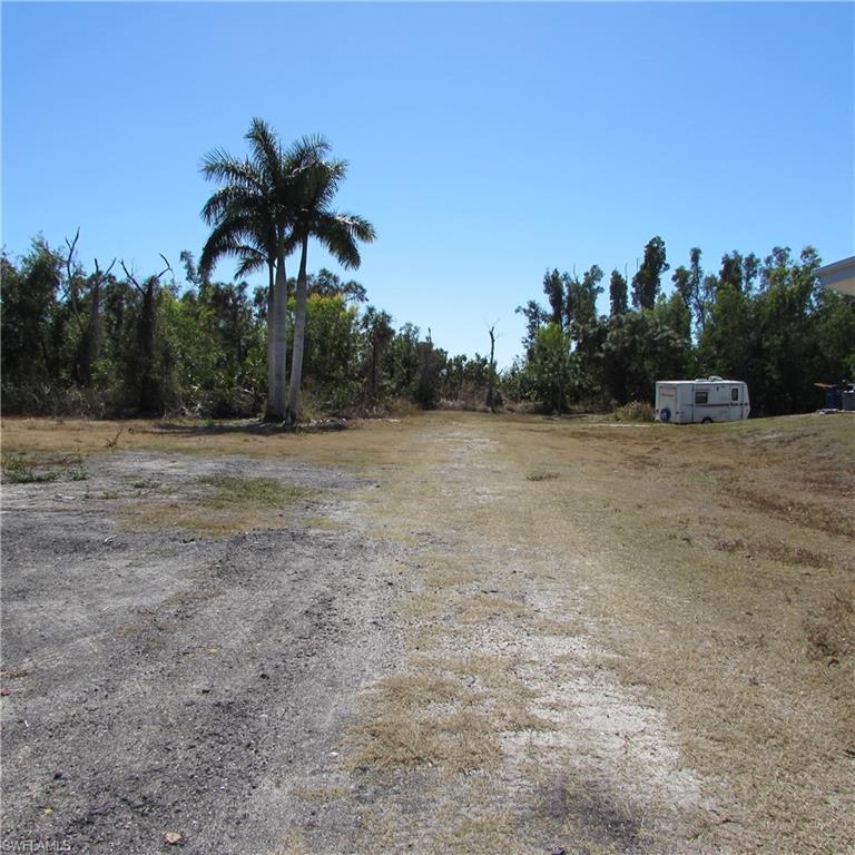 KREAMERS AVOCADO SUBD - Land