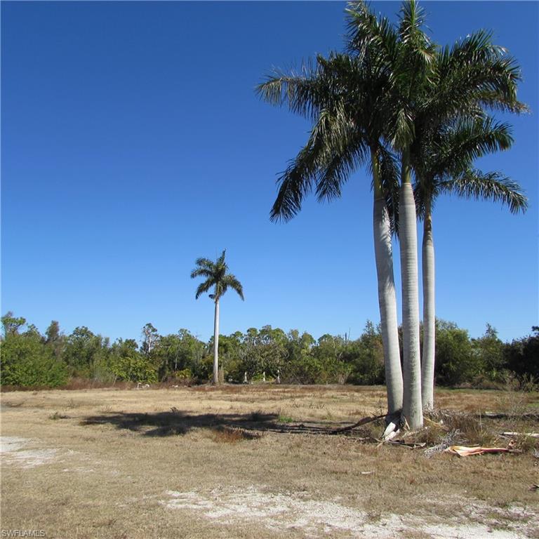 KREAMERS AVOCADO SUBD - Land