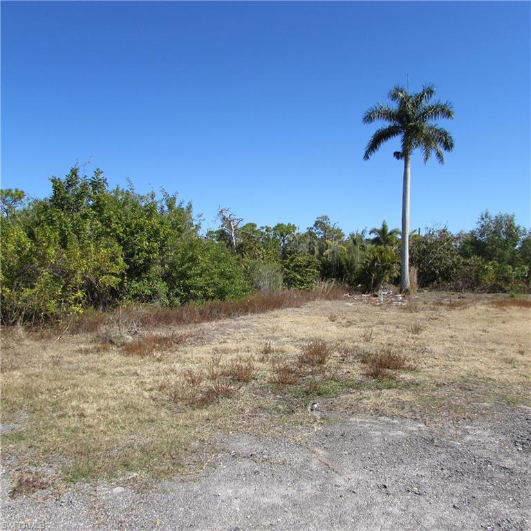 KREAMERS AVOCADO SUBD - Land