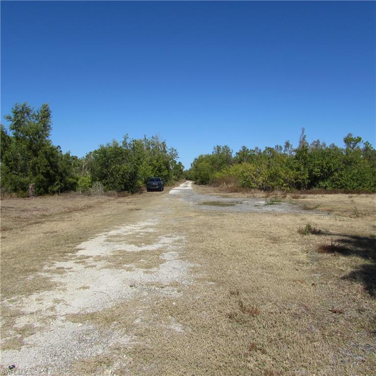 KREAMERS AVOCADO SUBD - Land