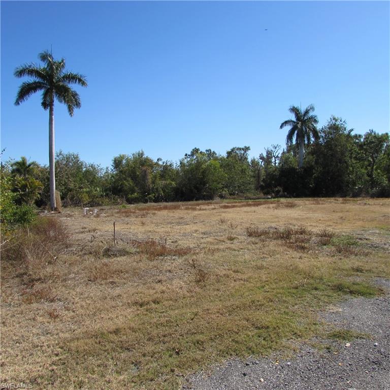 KREAMERS AVOCADO SUBD - Land