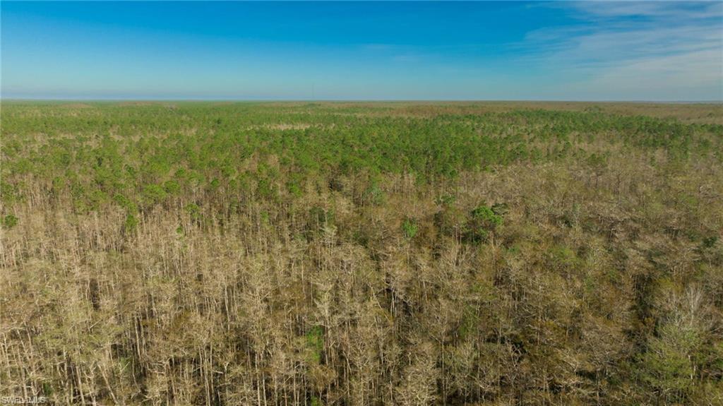 BONITA NATIONAL GOLF AND COUNTRY CLUB - Residential