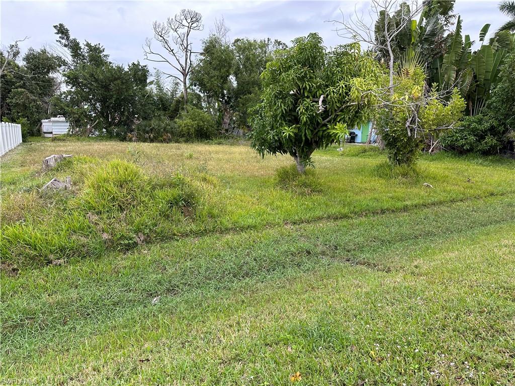 PINE ISLAND CENTER - Land