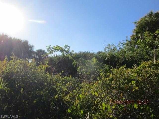 SOUTH GULF COVE - Land