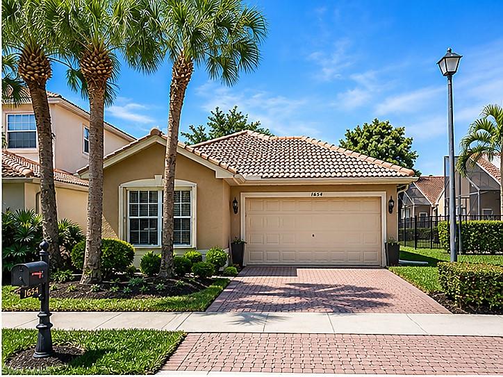 1654 Triangle Palm TER