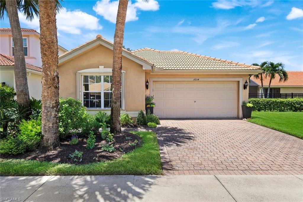 1654 Triangle Palm TER