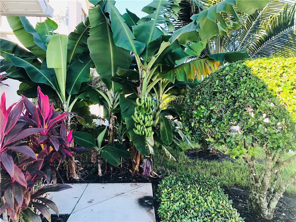 VILLAGES OF STELLA MARIS - Residential