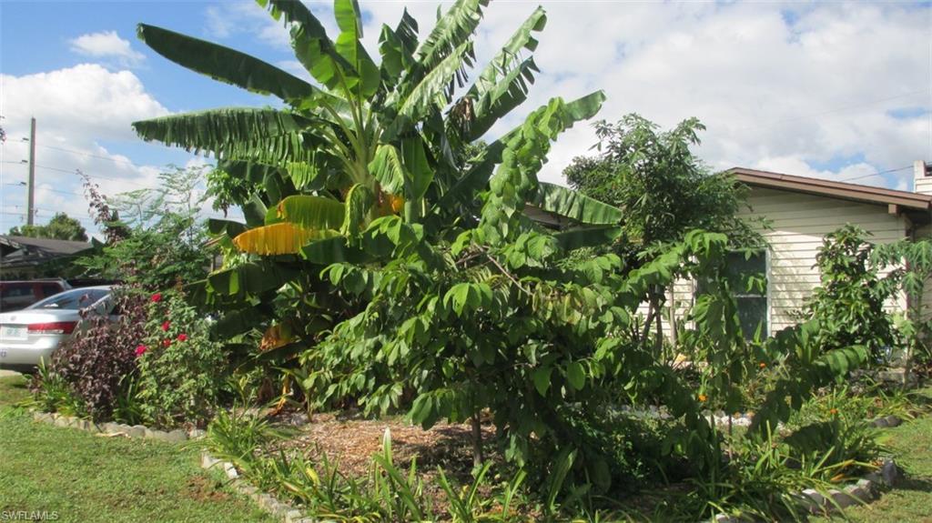 BOWLING GREEN - Residential