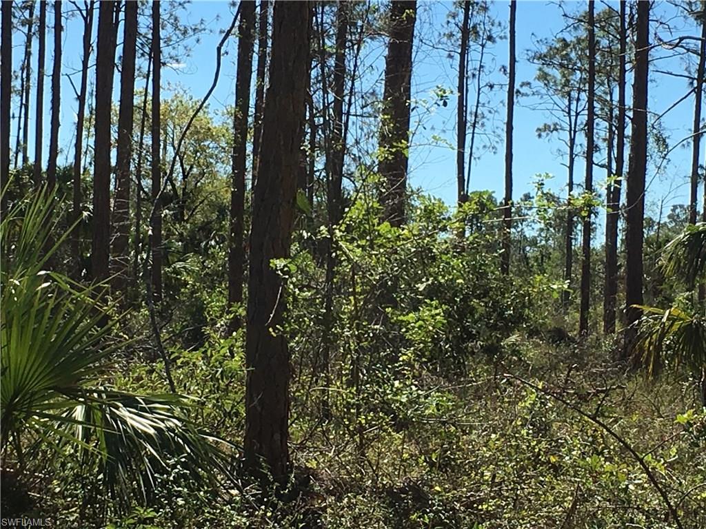 GOLDEN GATE ESTATES - Land