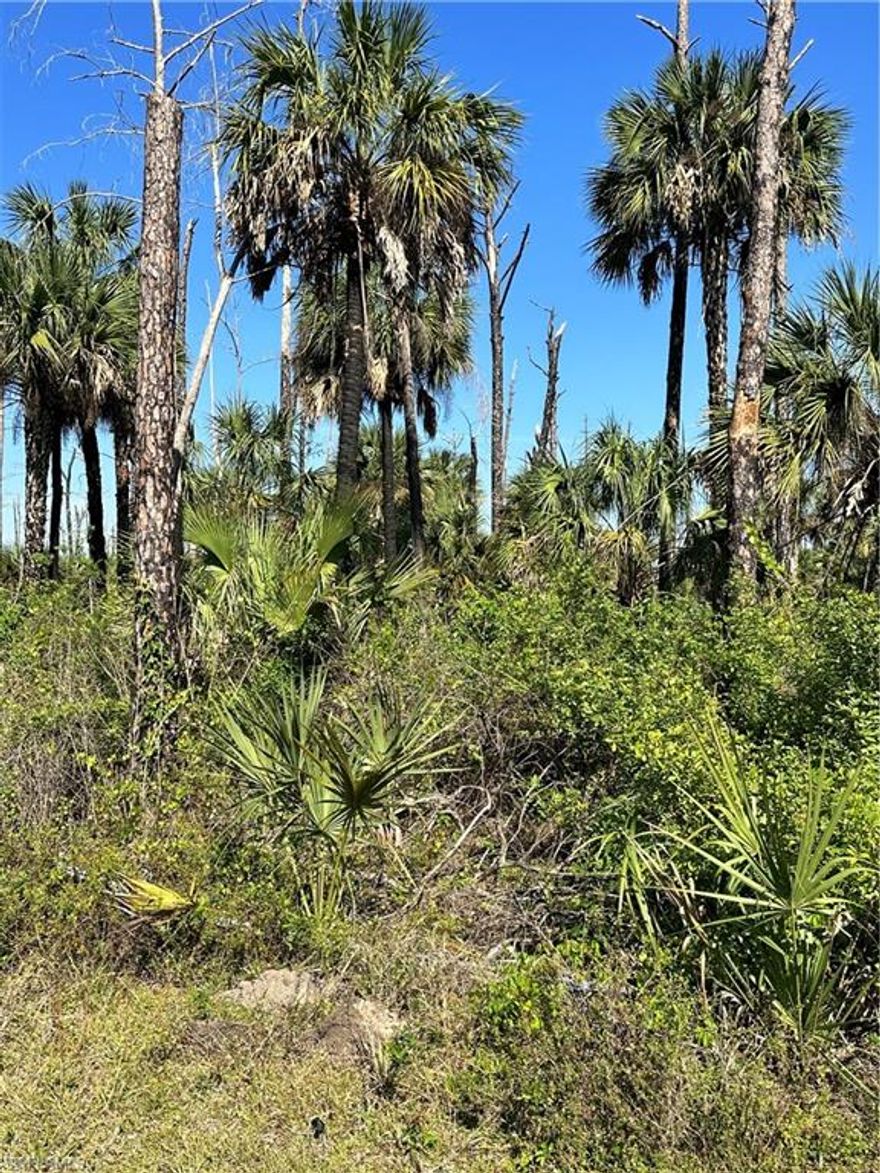 LOCATION,LOCATION,LOCATION!!!! SELLER IS VERY MOTIVATED TO SELL IT, SEND AN OFFER!!! This beautiful lot IS 95% UPLAND!!!!! BUYER CAN DIVIDED IT IN 2 LOTs ( NEW BUYER HAS TO DO THEIR OWN DILIGENCE WITH THE COUNTY  TO DIVIDE IT) This is an ideal location to build your dream home with acreage and enjoy the peace and quiet of Golden Gate Estates. This property offers a Southern exposure near a booming growth corridor with everything you need nearby and more on the way. This includes restaurants shopping, entertainment, medical facilities, and the best of Naples within minutes plus world famous beaches. And, of course, no HOA fees or concern if you would like horses or the ability to pursue a variety of other interests. Environmental Protection Assessments are always recommended for land purchases. Don't miss this opportunity