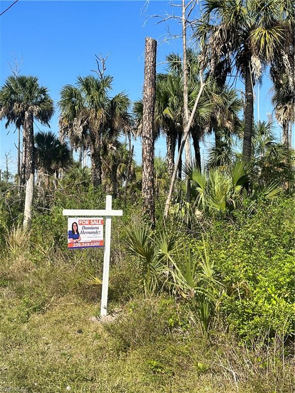 GOLDEN GATE ESTATES - Land