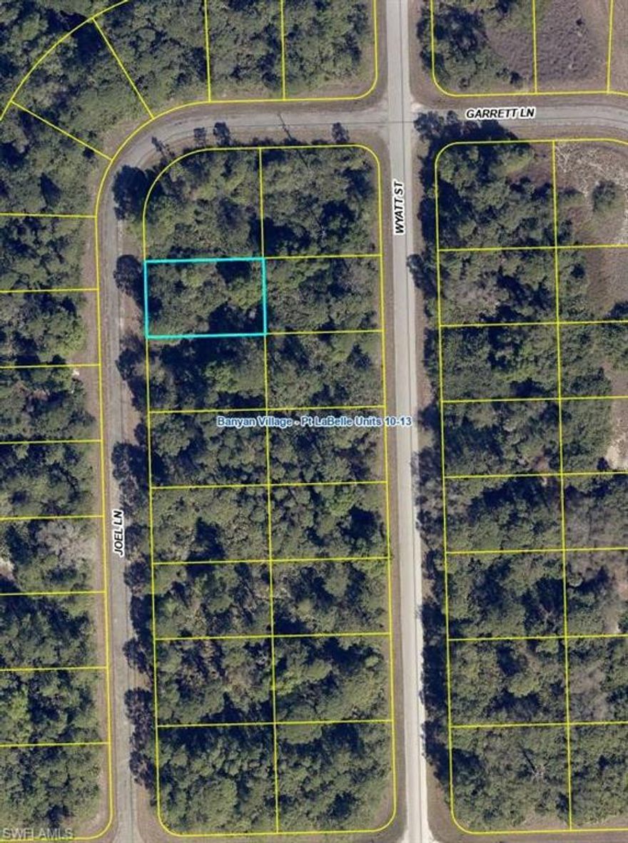 Look no further!  This is a fantastic opportunity to invest in land today and build your future home tomorrow. Located in the growing community of Banyan Village, this property offers convenient access to Fort Myers, Clewiston, and Florida’s East Coast. Don’t miss your chance to secure a piece of this up-and-coming area!