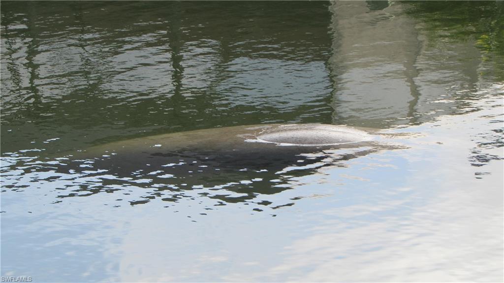 BAYVIEW ACRES - Residential