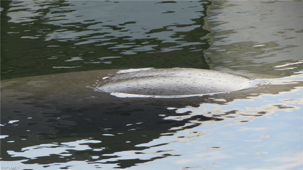 BAYVIEW ACRES - Residential