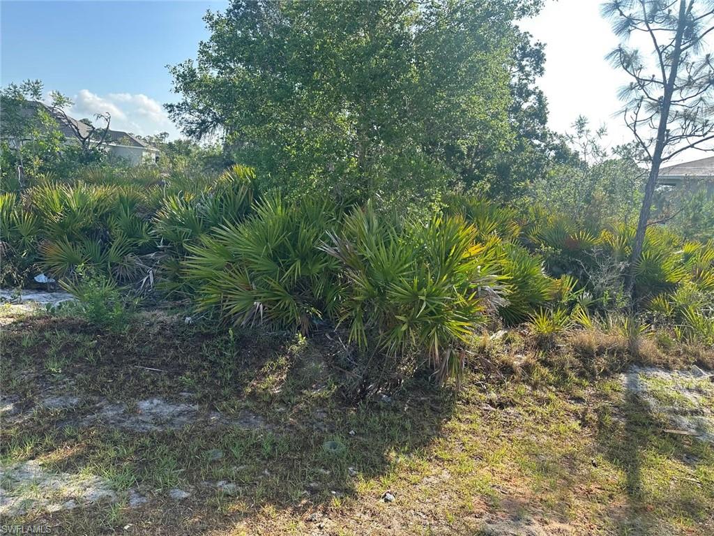Listing image 4
