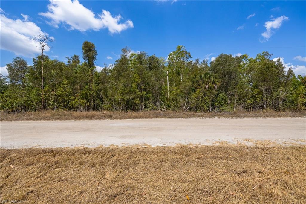 FORT MYERS - Land