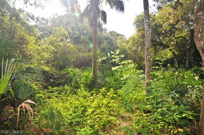 TELEGRAPH CREEK ESTATES - Residential