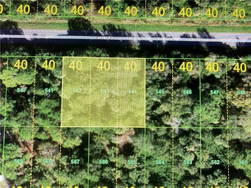 Great vacant lot to build a great home. Near to downtown Punta Gorda, US 41 and I-75. The seller has 11 lots to sell.