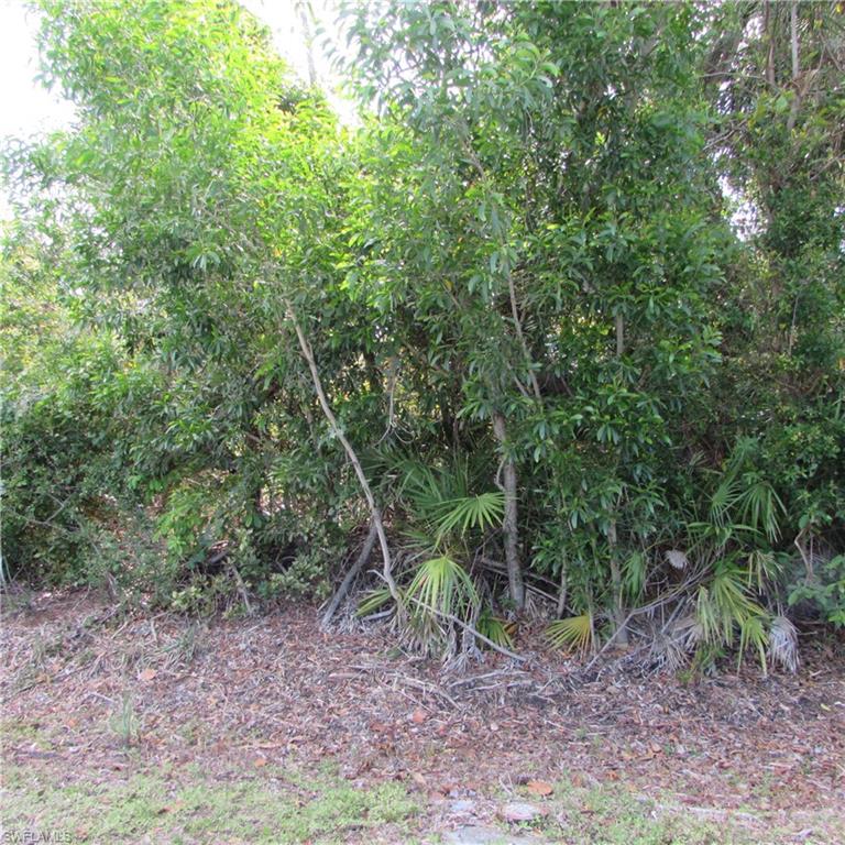 PINE ISLAND RIDGE - Land