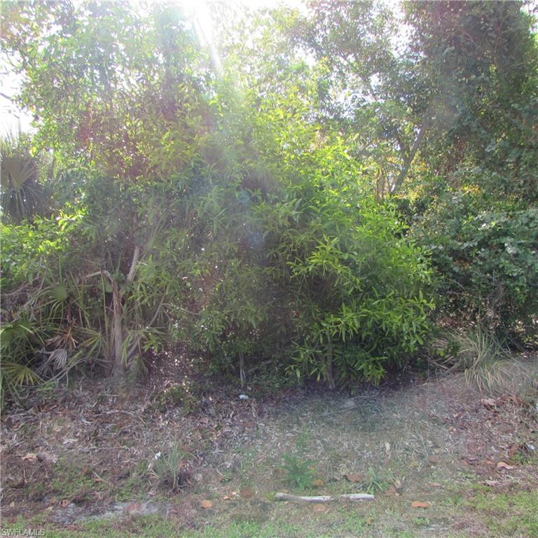 PINE ISLAND RIDGE - Land