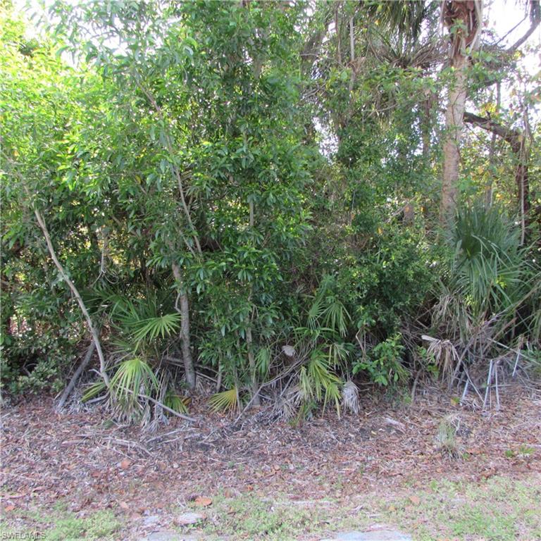 PINE ISLAND RIDGE - Land