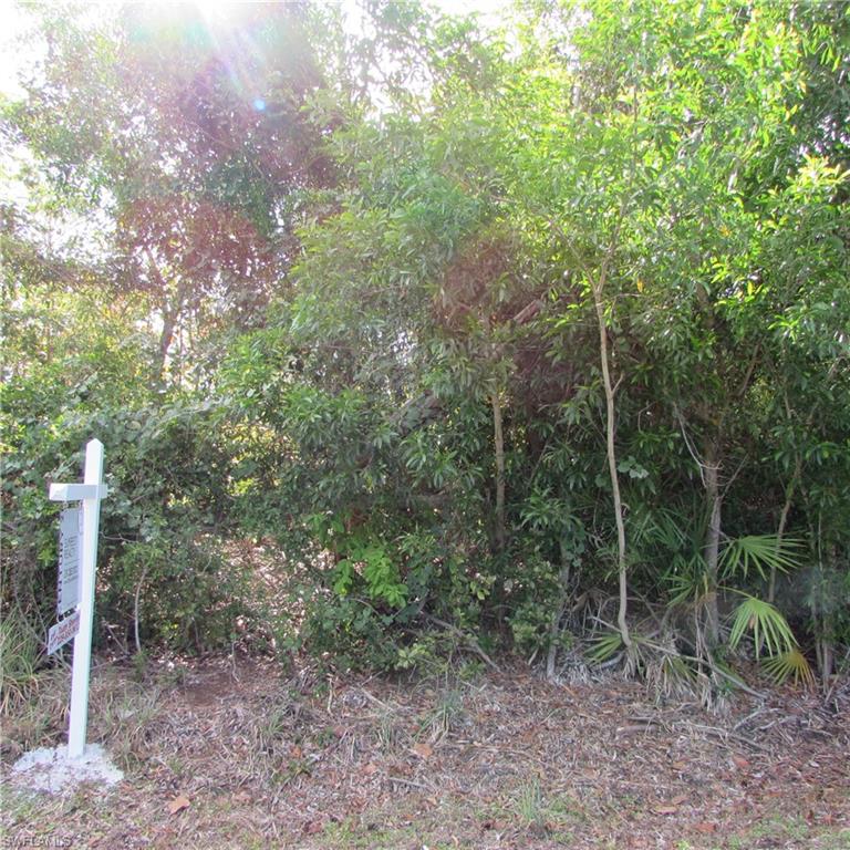 PINE ISLAND RIDGE - Land