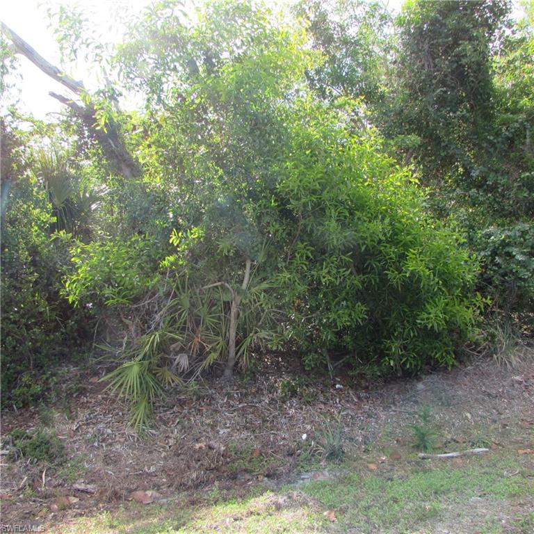 PINE ISLAND RIDGE - Land