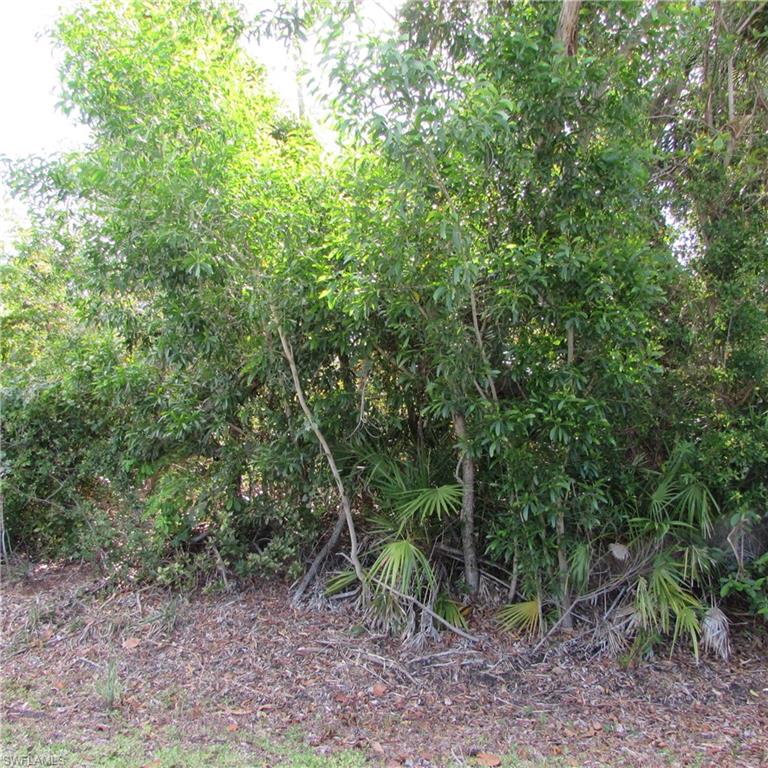 PINE ISLAND RIDGE - Land