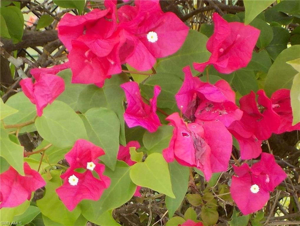 TERRACE I AT HERITAGE COVE - Residential