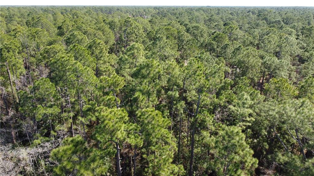 GOLDEN GATE ESTATES - Land