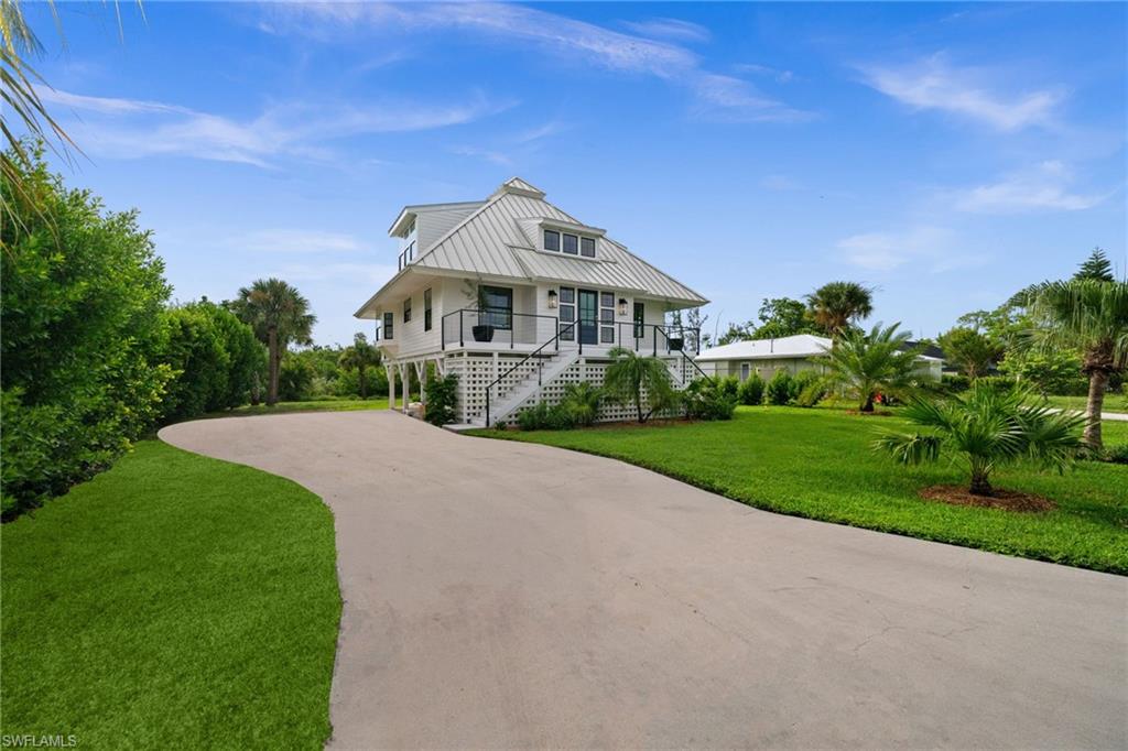 1854 Ibis LN