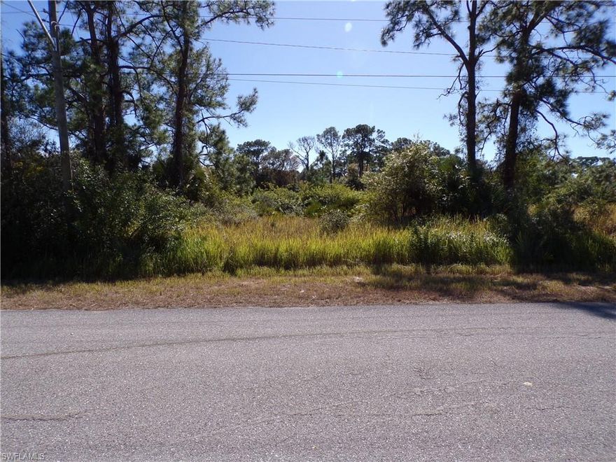 This Great waterfront lot is on the Fox canal providing a water view with freshwater fishing and bird watching from your own backyard. This would be a great place to build your dream home and retire or raise your family.  Less than 15 miles to I75 makes this location an easy commute to almost anywhere, and only 18 miles to Centennial Park downtown Fort Myers with amazing sunsets, and waterfront park with lots of shopping and dining options. Multiple golf courses and some of the best boating and fishing in all of Florida. Red Soxs, Orioles, Twins, Rays and Braves spring training all within an hour’s drive. Buyer and buyers rep responsible for determining environment conditions and endangered species restrictions. This lot is priced to sell so please call for availability! This lot is at a great price point for the investor call today.