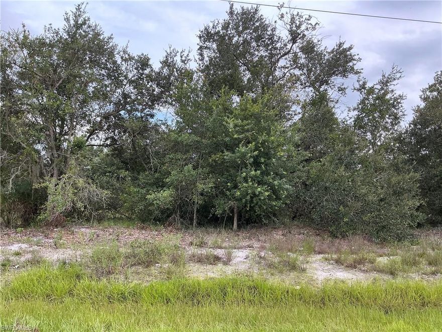 Build your dream home on this prime 0.25-acre lot in Lehigh Acres Unit 11, FL! Located on a paved road with power available, this property offers convenience and accessibility in a quiet, growing neighborhood with steady new construction and development. Surrounded by well-maintained homes, vacant residential lots, and natural green spaces, this area provides a perfect balance of privacy and community. Enjoy easy access to nearby schools, shopping centers, dining, and major roadways, making daily living simple and convenient. Whether you're looking to build now or invest for the future, this lot offers great potential in one of Lehigh Acres’ expanding areas. Don’t miss this opportunity to secure your piece of Southwest Florida!