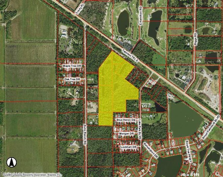 L.1821 - Just under 5 minutes from the Collier Blvd and Rt. 41 intersection. Multiple new communities and shopping within the stretch are proving the East Trail to be Naples next growth area. Propose a plan for these 6 adjoining parcels totaling 26.99 acres with Rt. 41 frontage & frontage on Auto Ranch Rd.