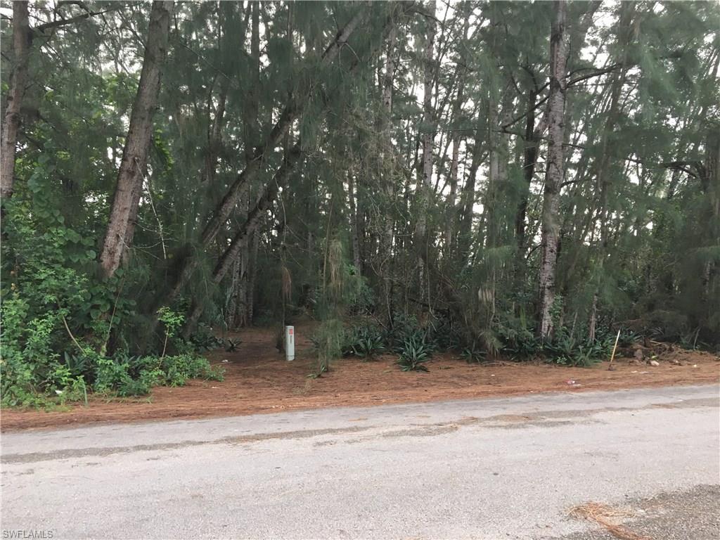 NAPLES MANOR LAKES - Land