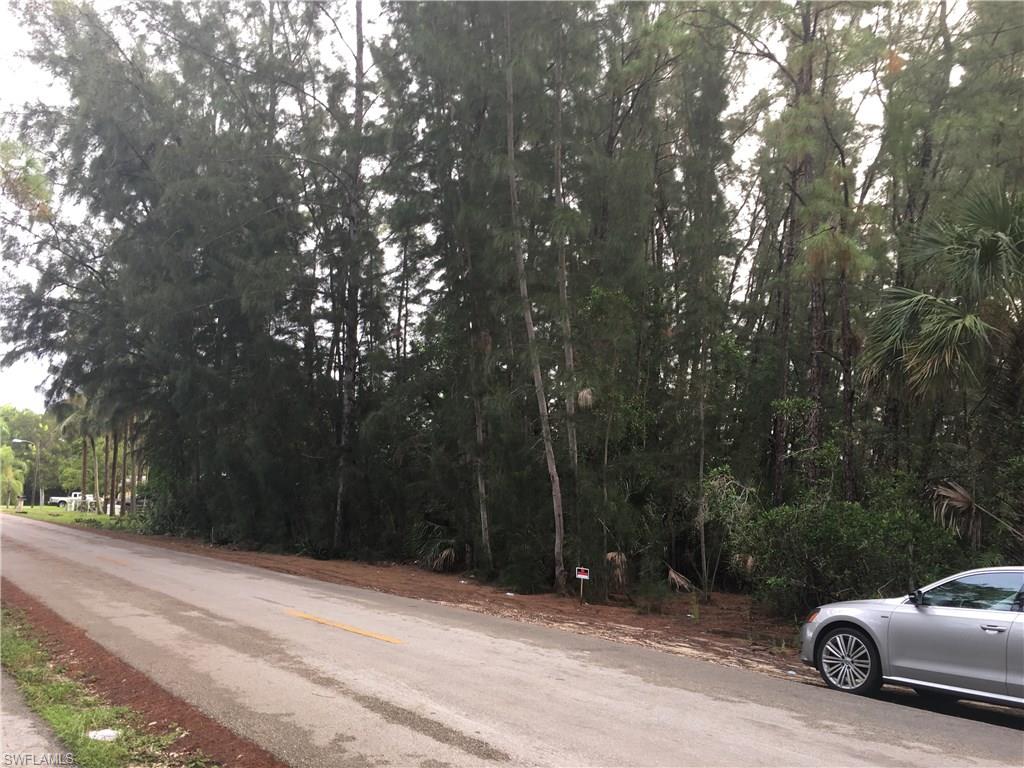 NAPLES MANOR LAKES - Land